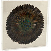 Abstract Feather Acrylic Framed Wall Art