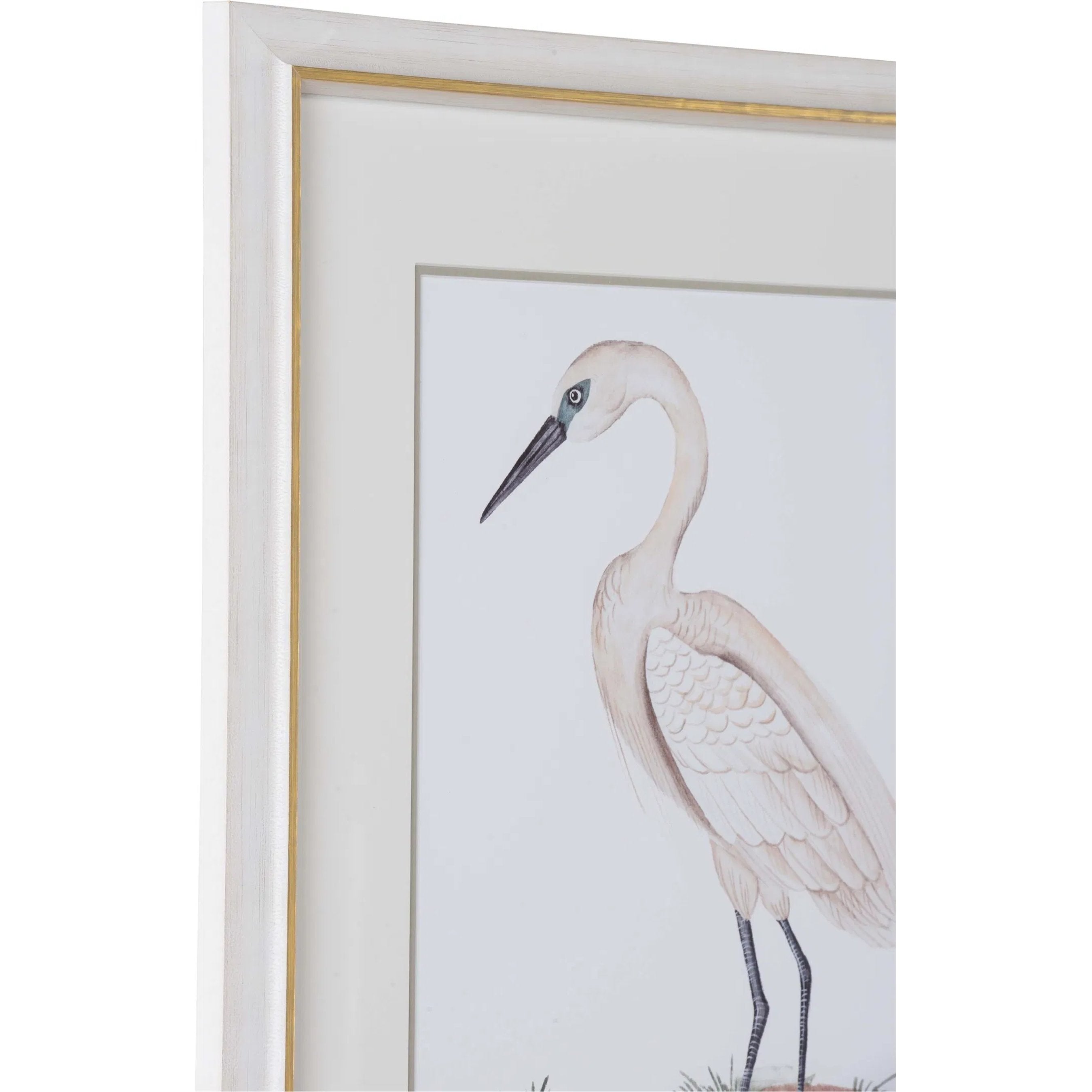 A White Heron I