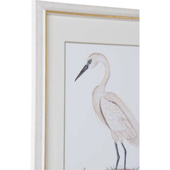 A White Heron I