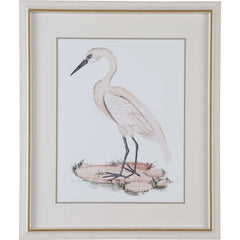 A White Heron I