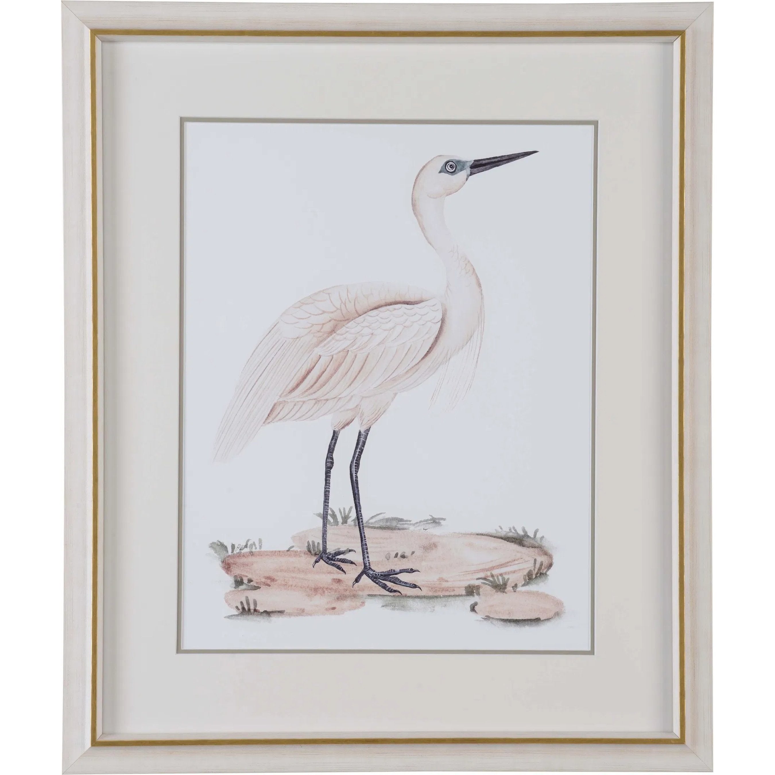 A White Heron II