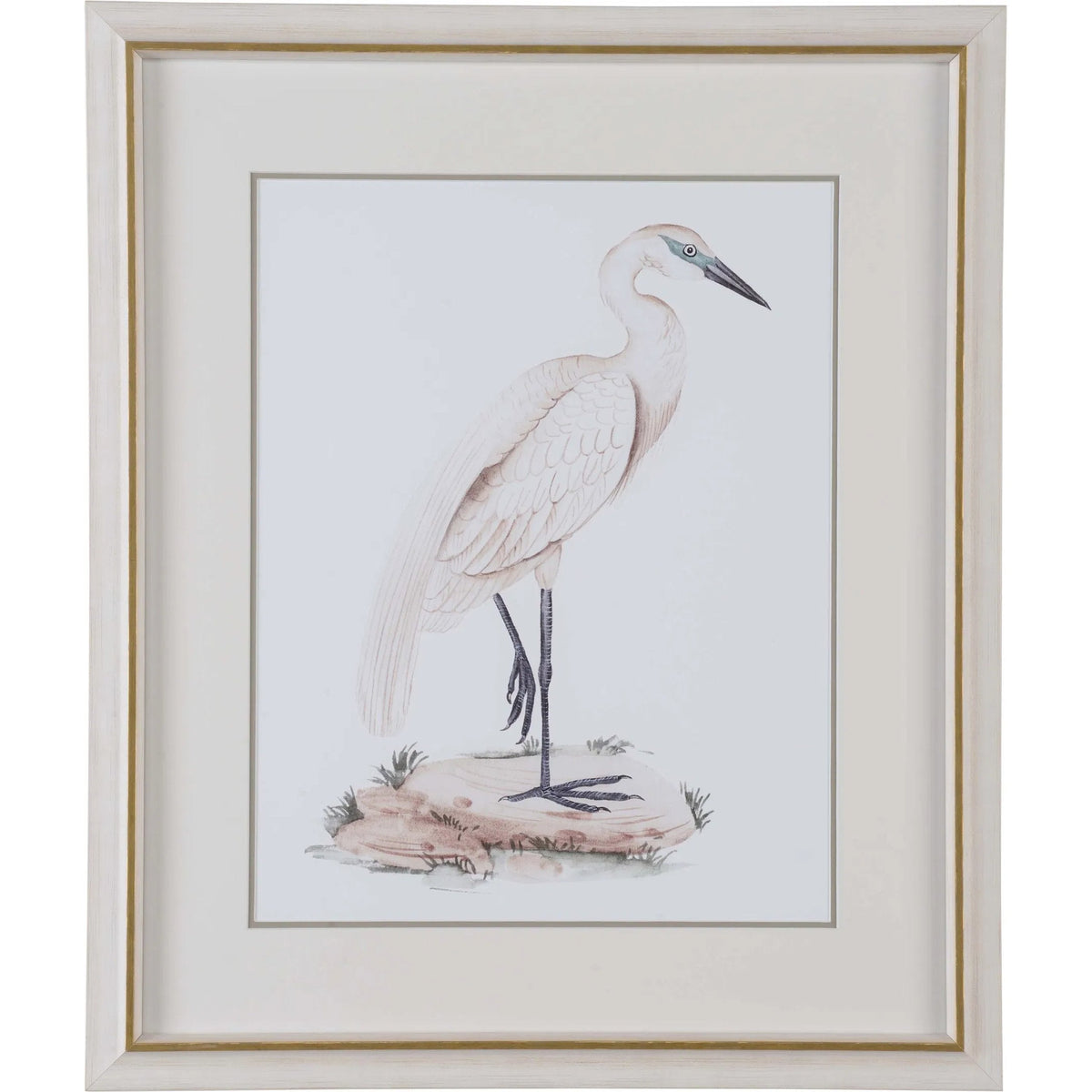 A White Heron IV