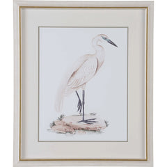A White Heron IV