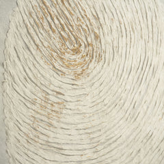 Abstract Fingerprint Framed Art