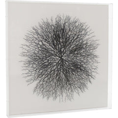 Abstract Branches