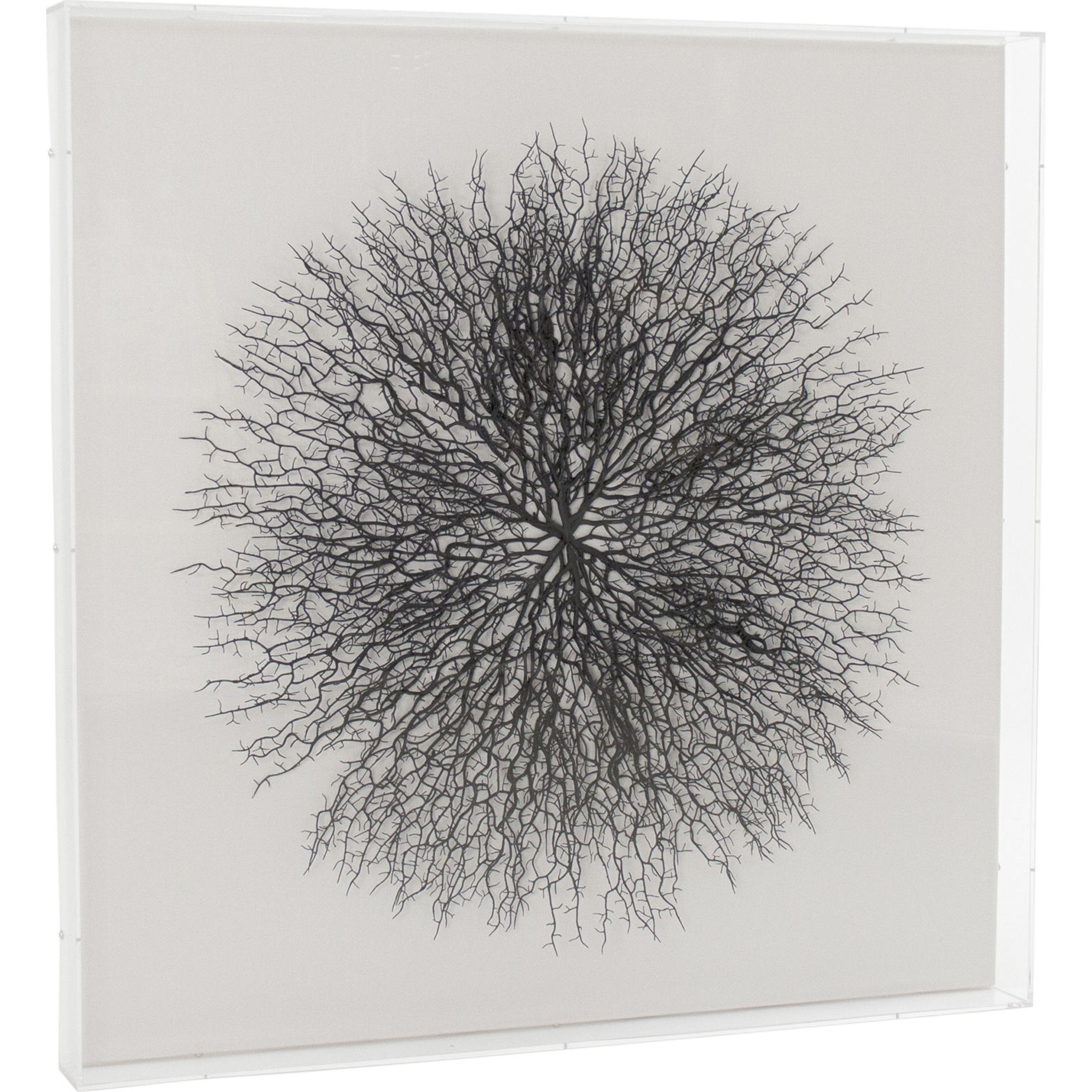 Abstract Branches