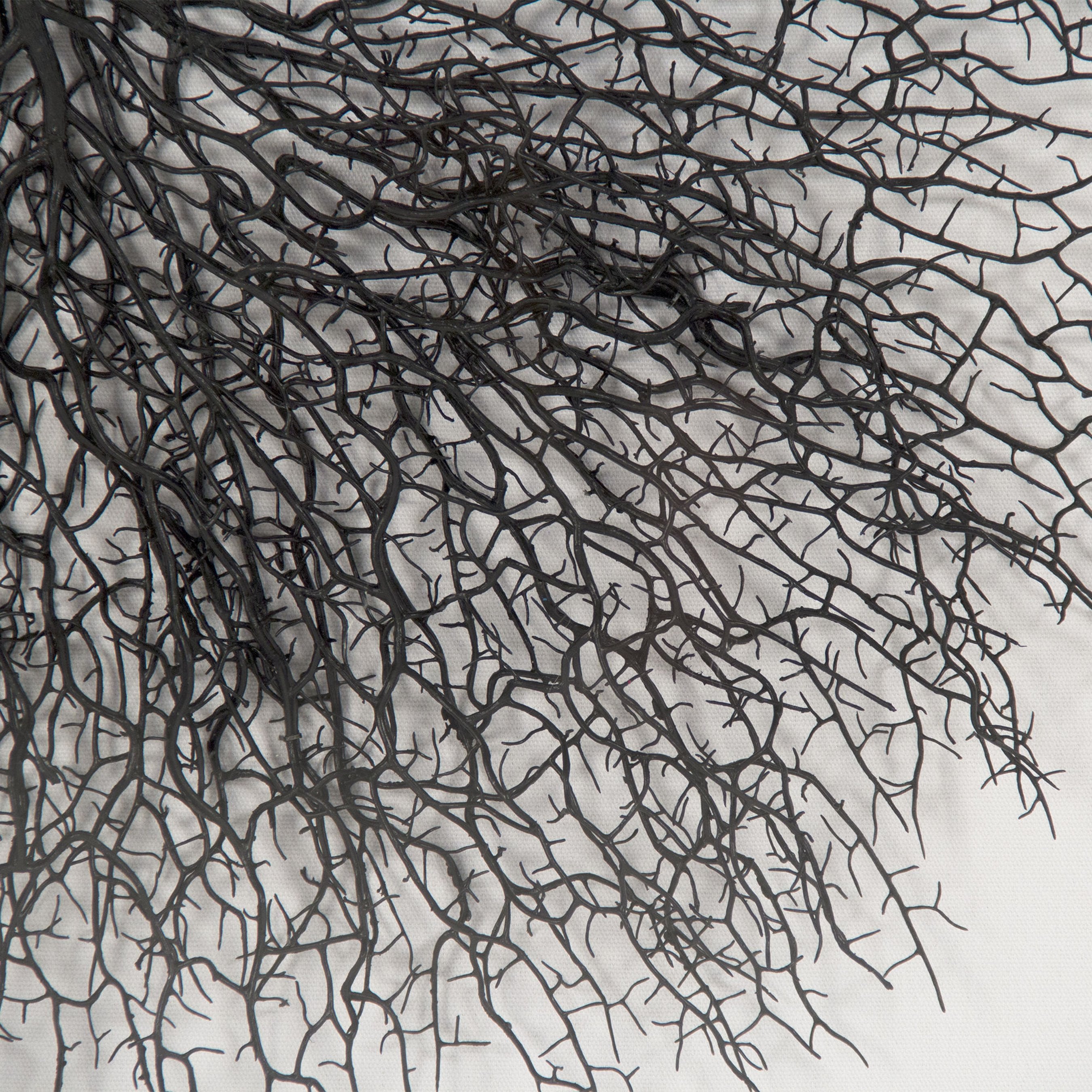 Abstract Branches
