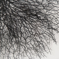 Abstract Branches