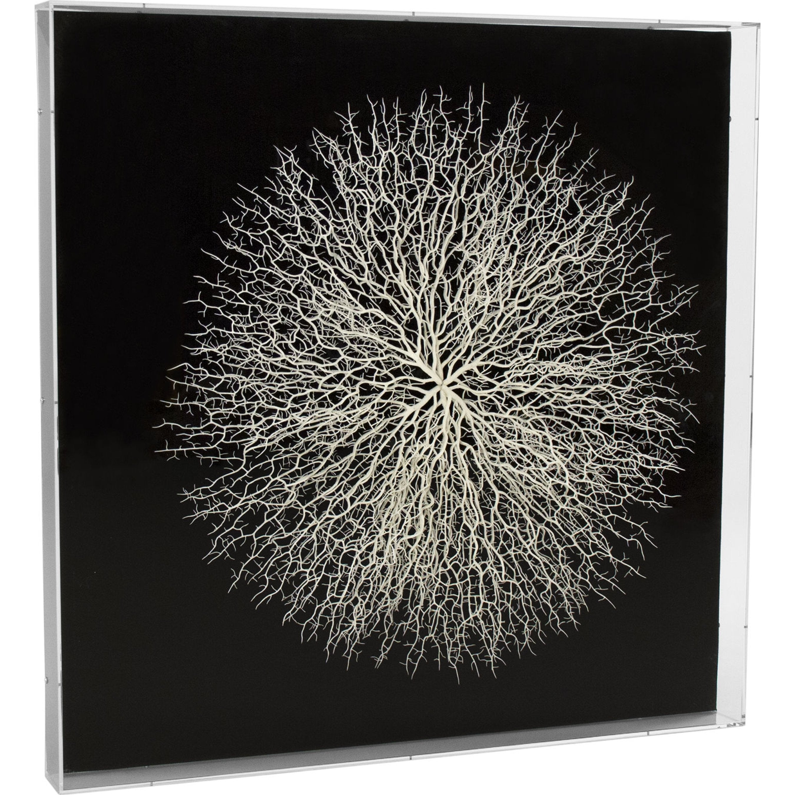 Abstract Branches