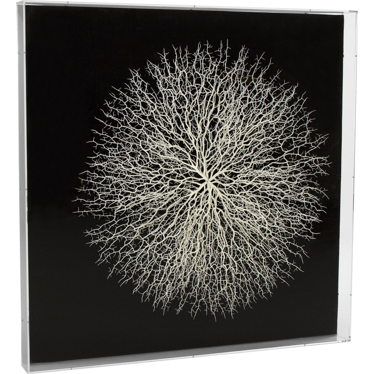 Abstract Branches