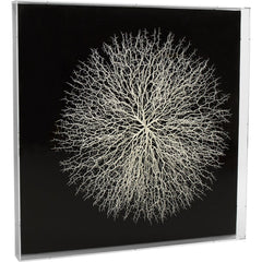 Abstract Branches