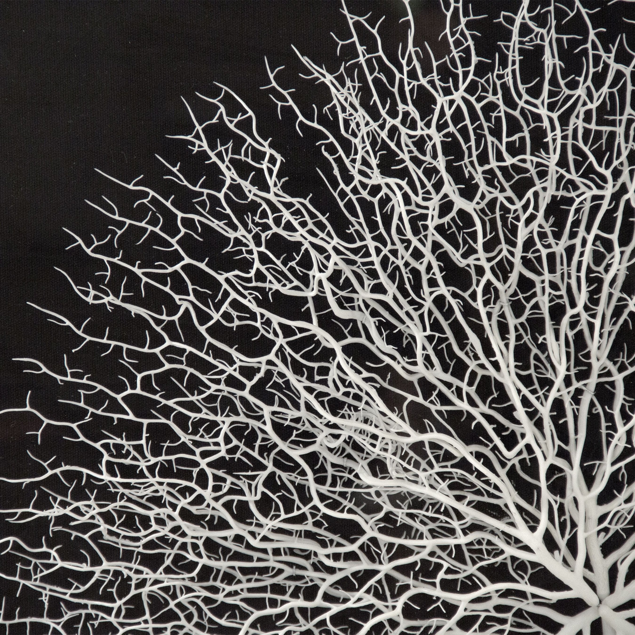 Abstract Branches