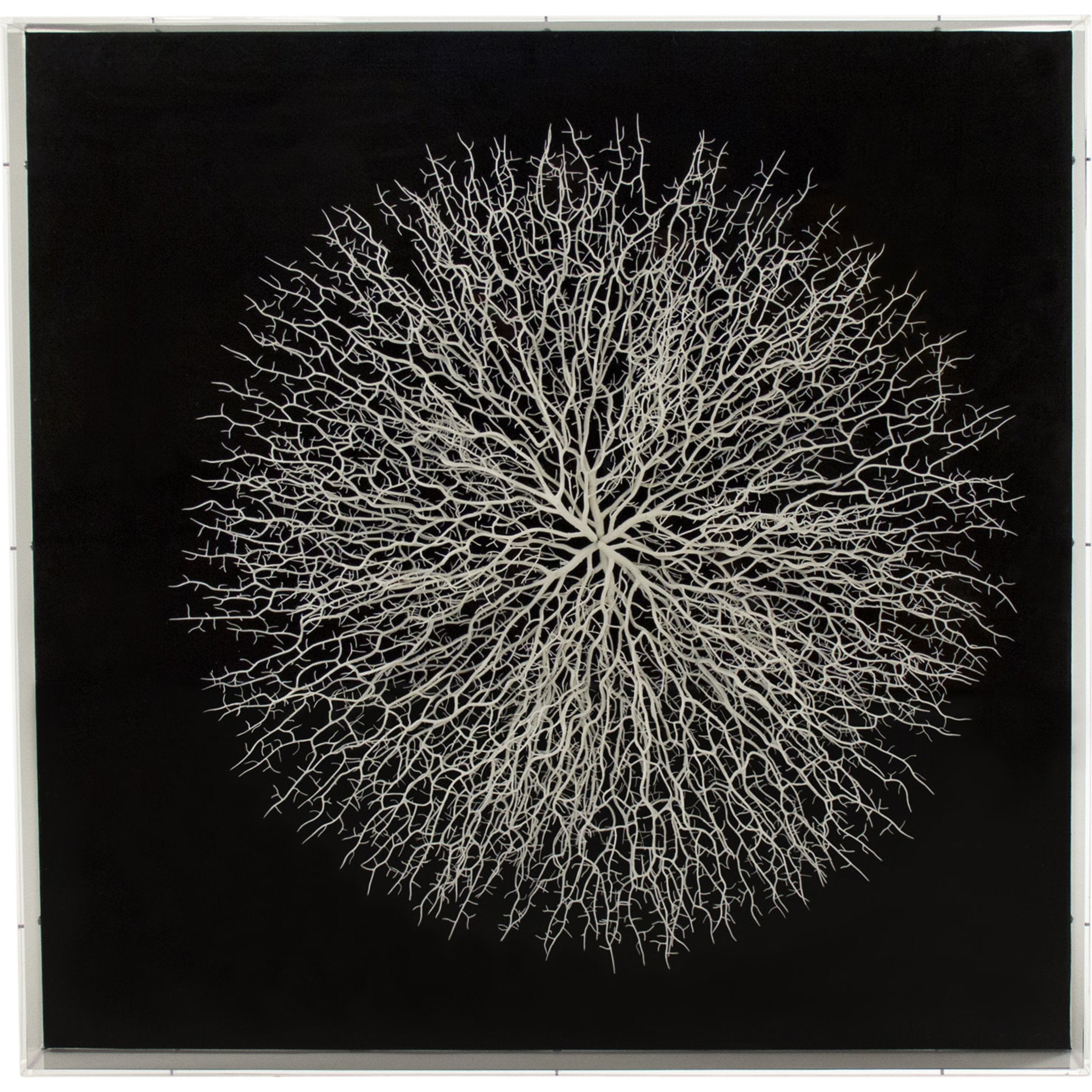Abstract Branches