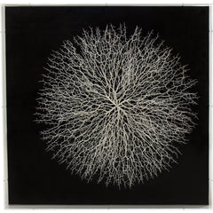 Abstract Branches