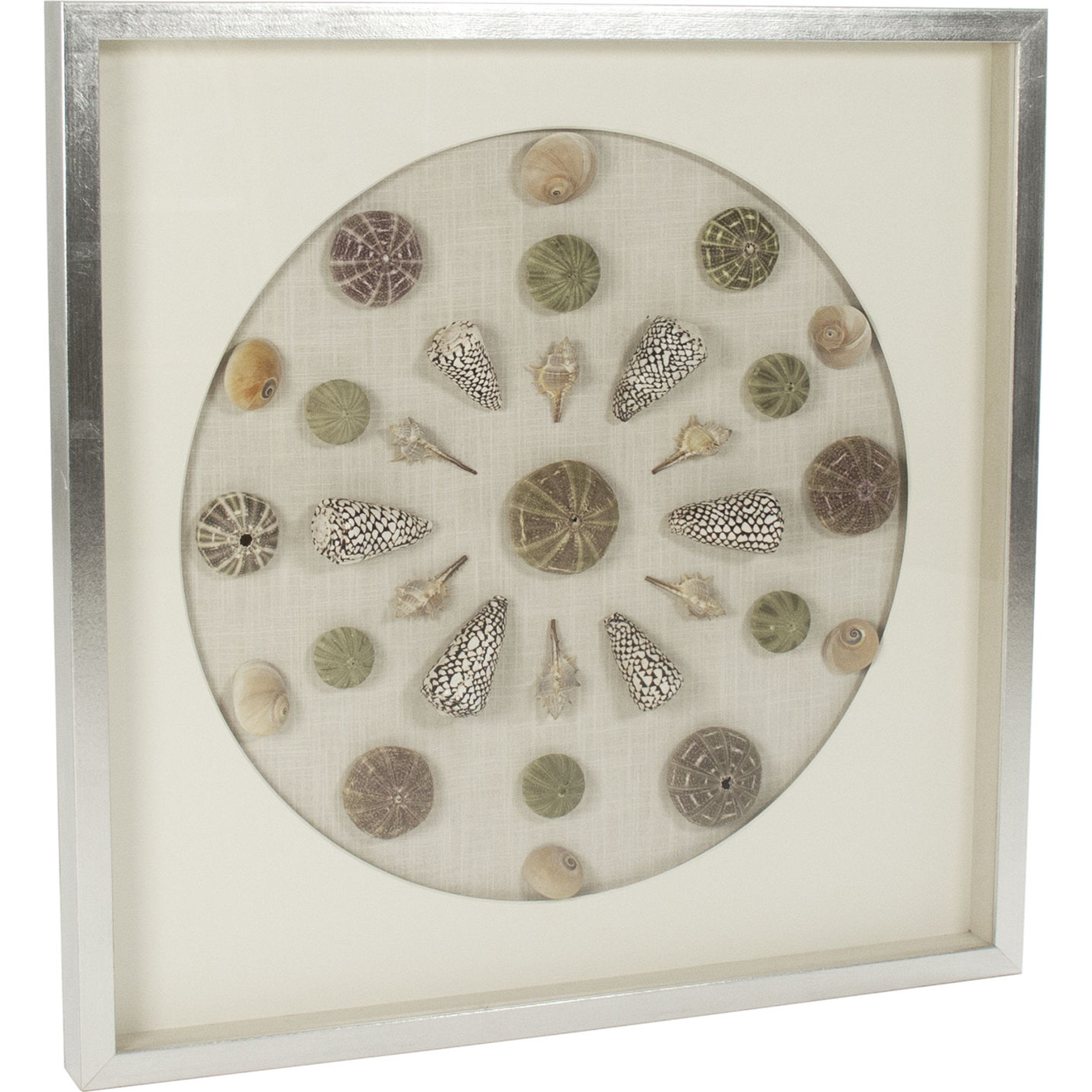 Abstract Shell Wall Art