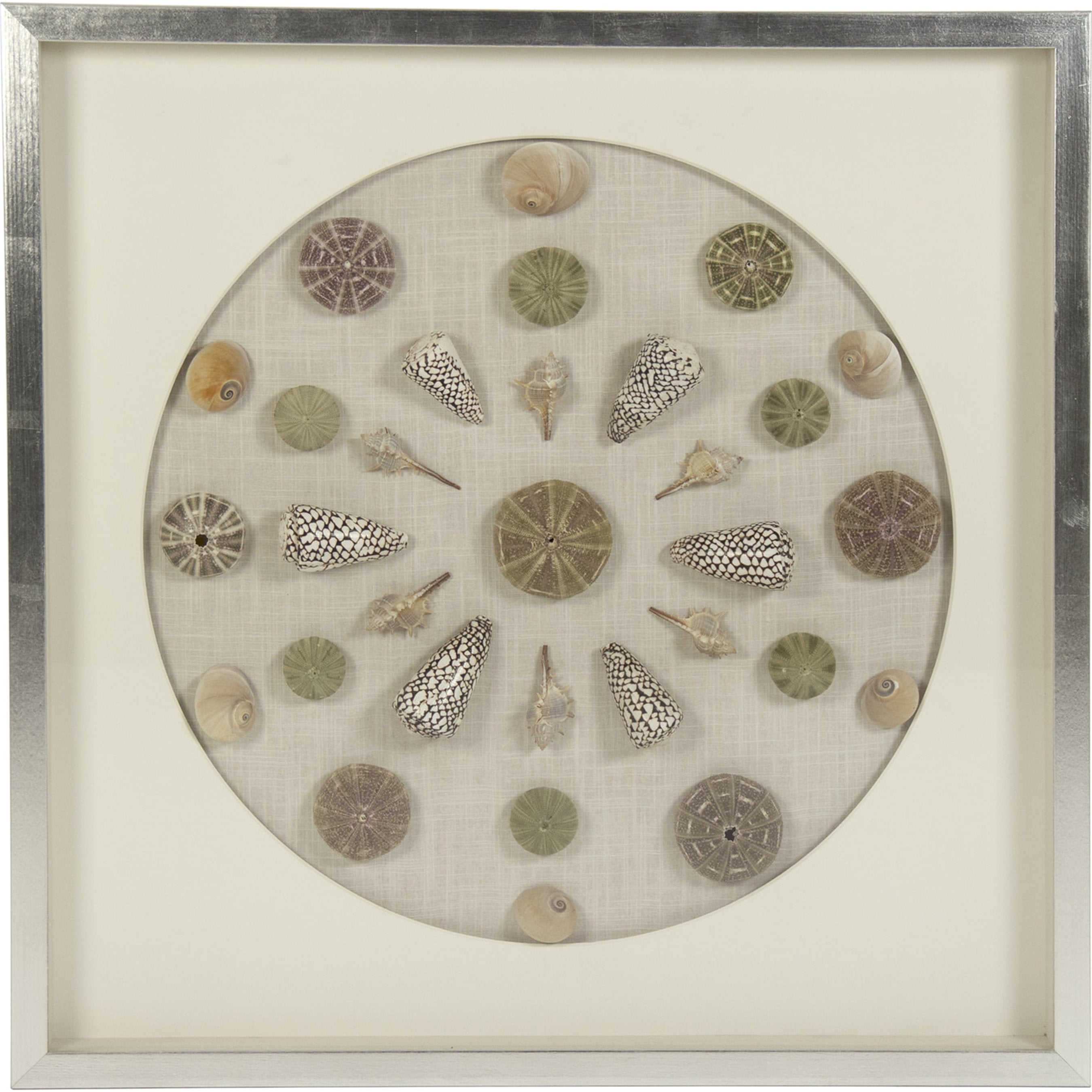 Abstract Shell Wall Art