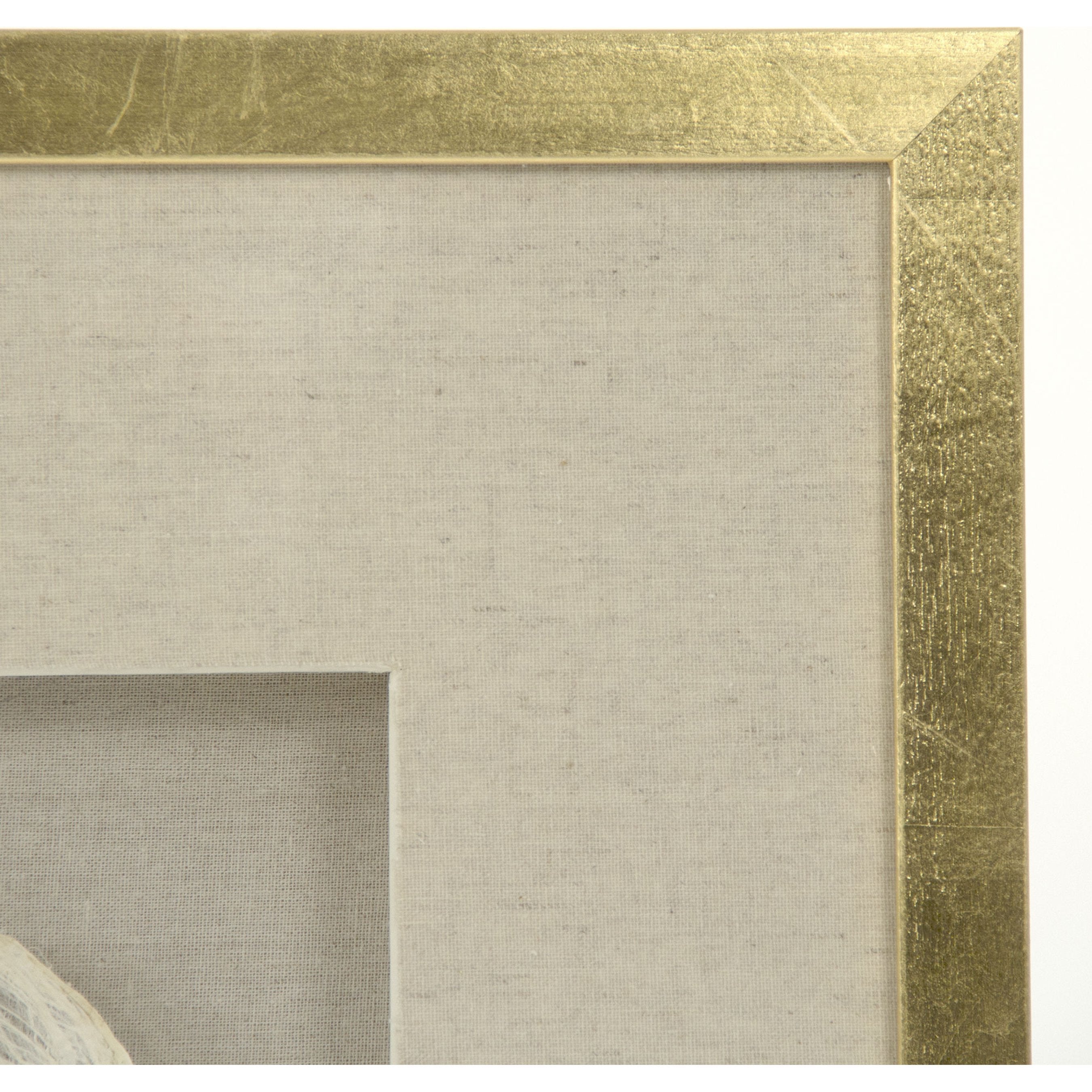 Abstract Shell Wall Art