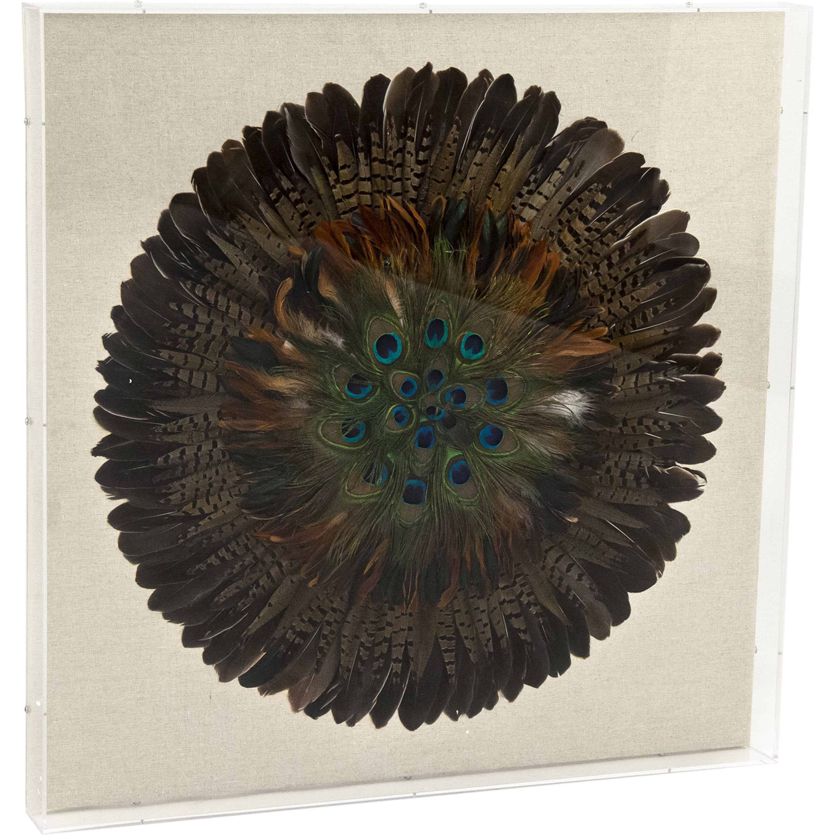 Abstract Feather Acrylic Framed Wall Art