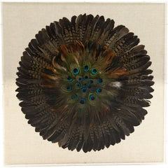 Abstract Feather Acrylic Framed Wall Art
