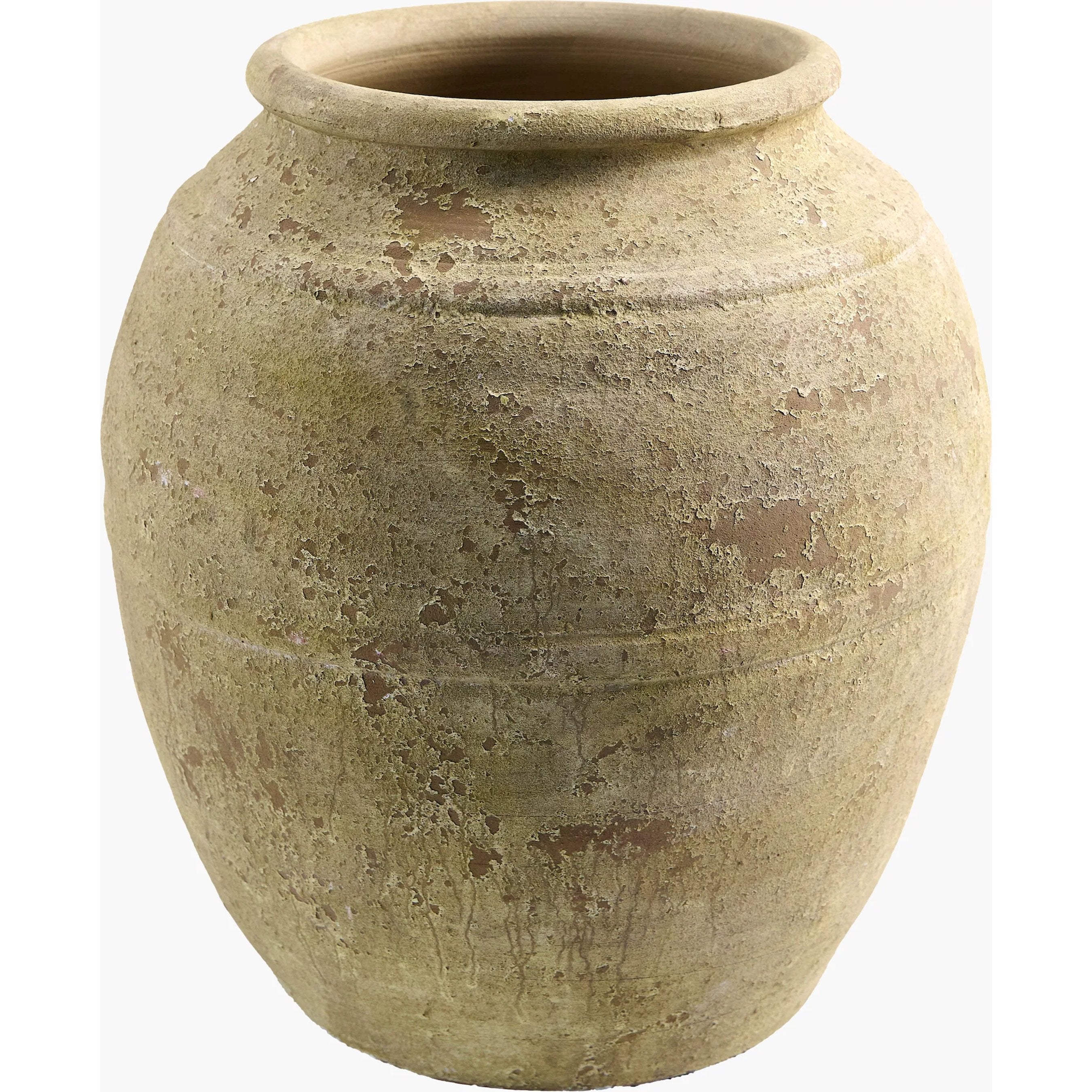 Aarush Vase