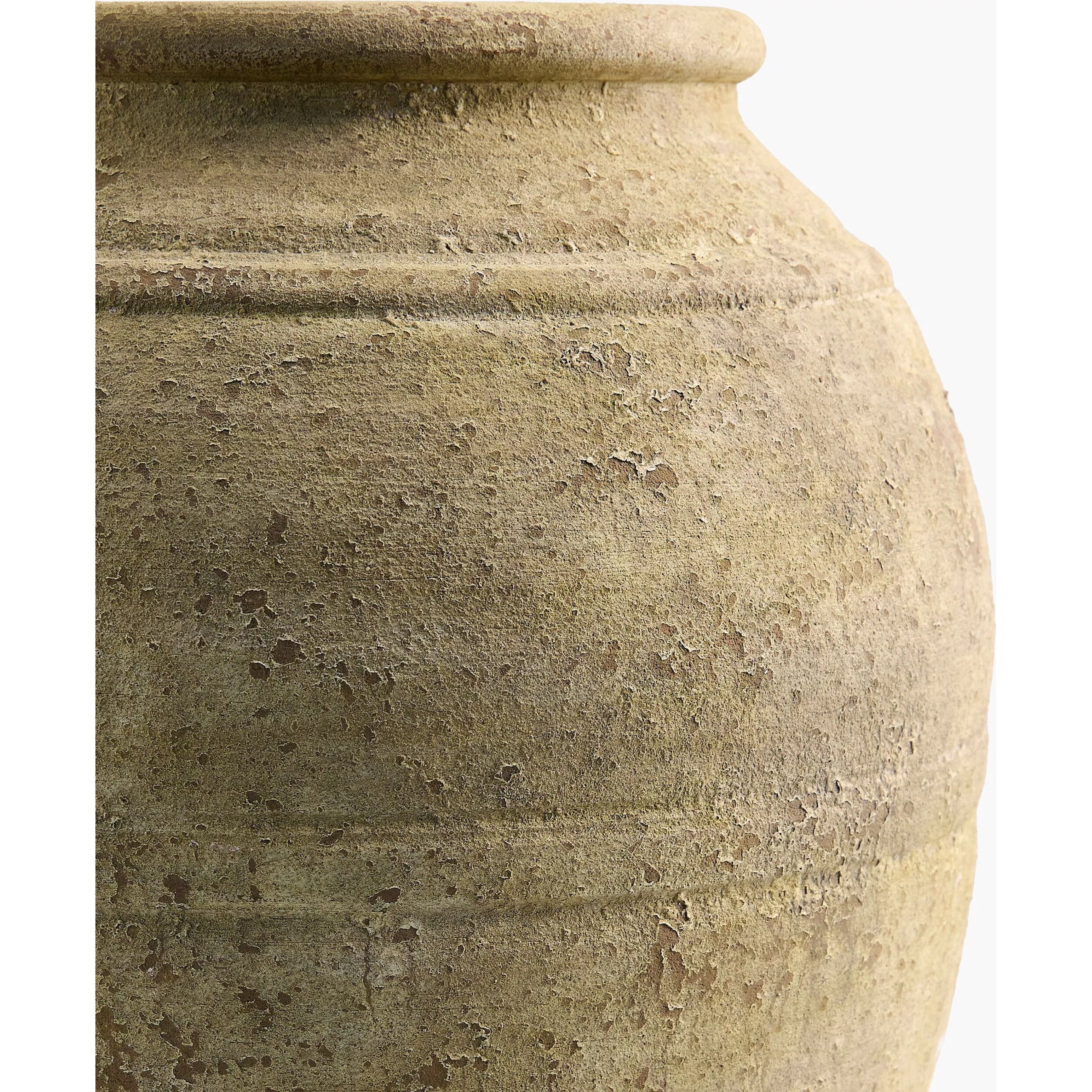 Aarush Vase