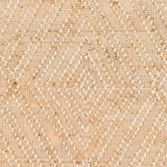 Adalyn AYD-2300 Rug