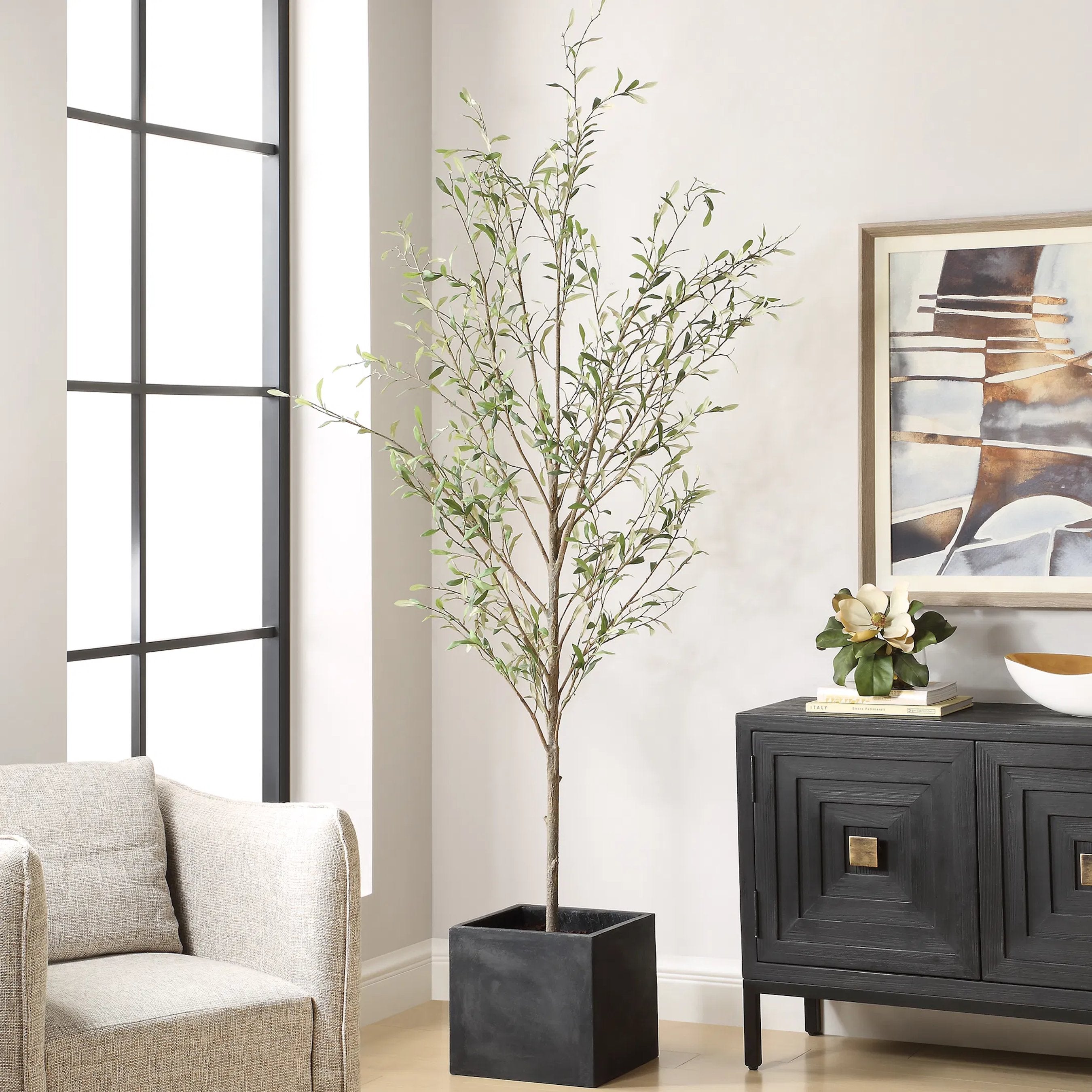 Abundance Potted Olive Tree
