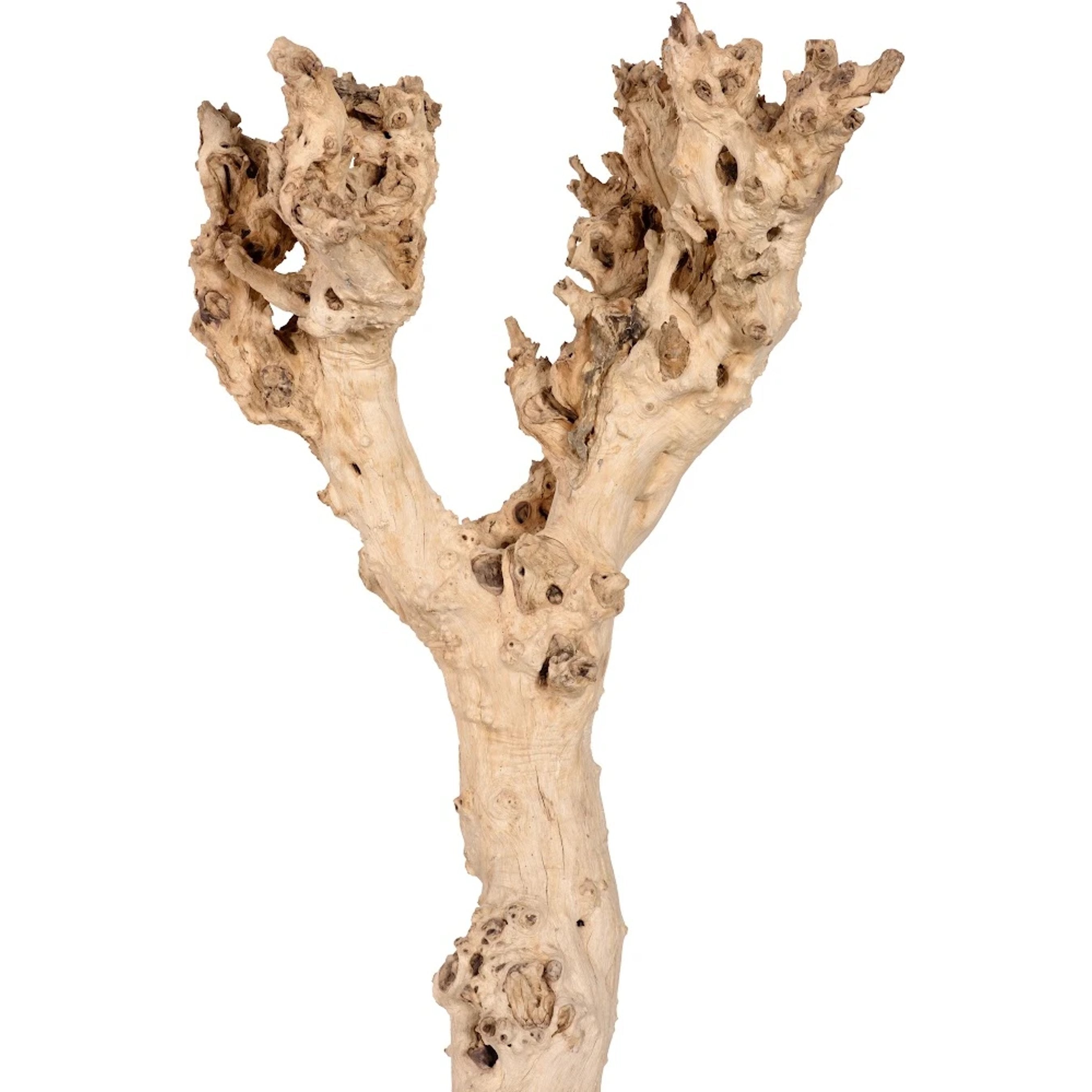 Abstract Wood Sculpture