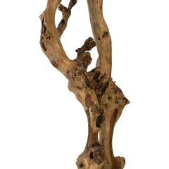 Abstract Wood Sculpture