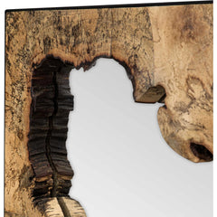 Abraham Mirror